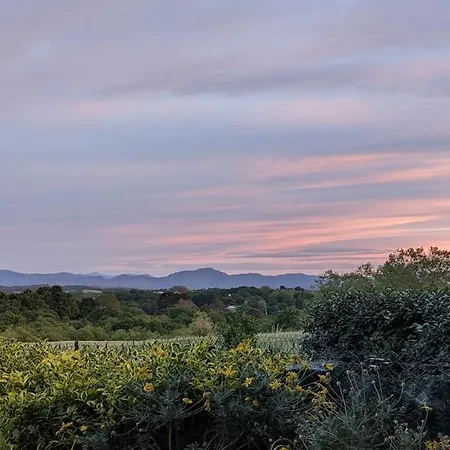 Joli T2 Avec Jardin Proche Du Chateau D'arcangues